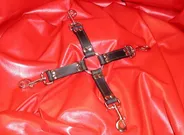 Small Hogtie