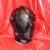 leather hood
